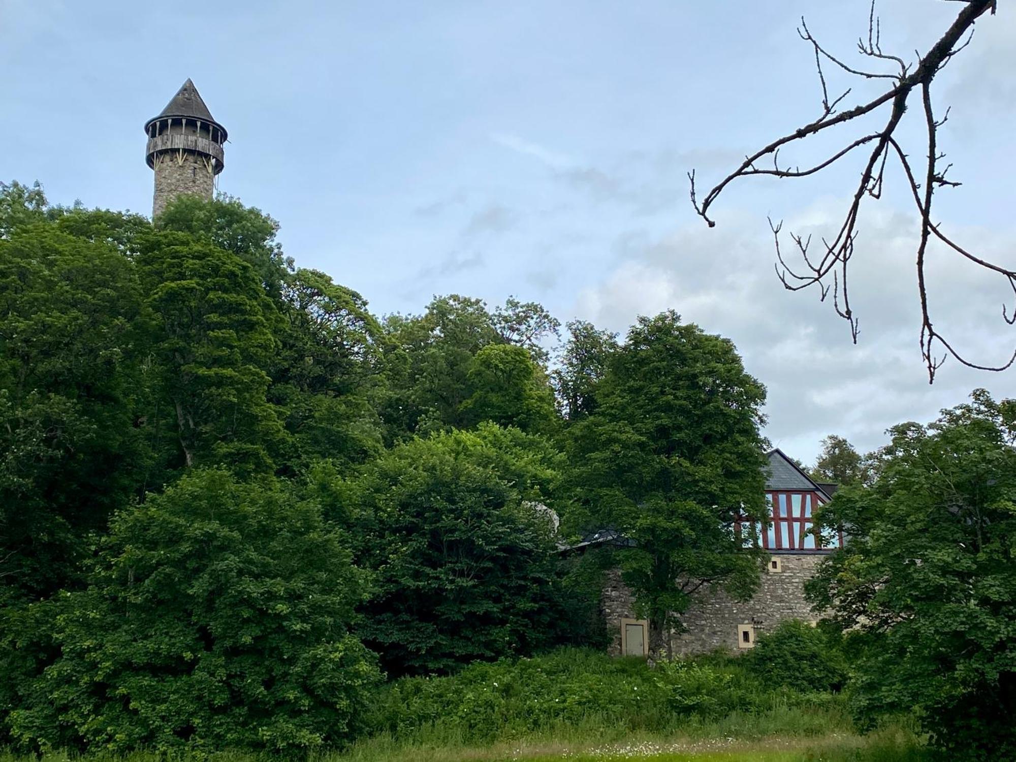 Ferienwohnung An Der Wildenburg Kempfeld Eksteriør bilde